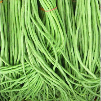 Chalisa Cowpea Seed(12 per packet)