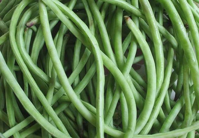 Chalisa Cowpea Seed(16 per packet)
