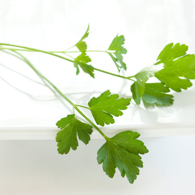 Mozette Hybrid Parsley Seed(60 per packet)