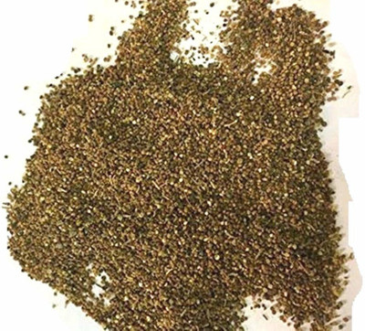 Xetomos Cuscuta reflexa Seed Nirmuli Amar bel 100g seeds Seed(1 per packet)