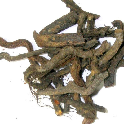 Xetomos Nirgand Nirgundi root Vitex 200g seeds Seed(1 per packet)