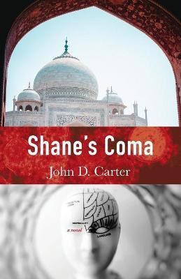 Shane's Coma(English, Paperback, Carter John D)