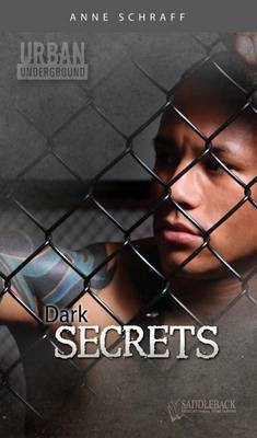 Dark Secrets(English, Paperback, Schraff Anne MS)