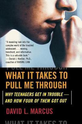 What It Takes to Pull Me Through(English, Paperback, Marcus David L)
