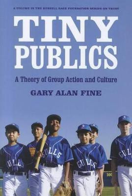 Tiny Publics(English, Hardcover, Fine Gary Alan)