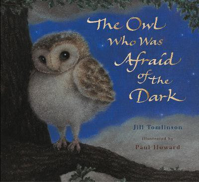 The Owl Who Was Afraid of the Dark(English, Paperback, Tomlinson Jill)