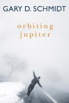 Orbiting Jupiter(English, Hardcover, Schmidt Gary D Professor)