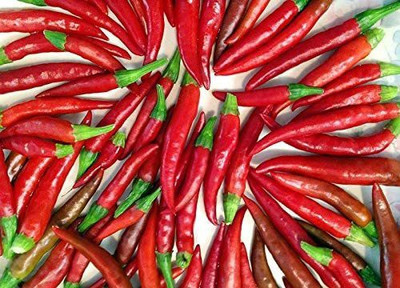MKR Enterprises Chilli Seed(150 per packet)