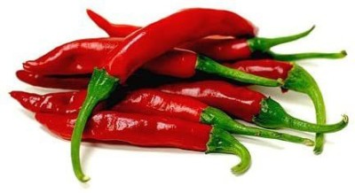 MKR Enterprises Chilli Seed(610 per packet)