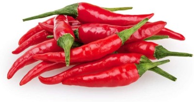 MKR Enterprises Chilli Seed(310 per packet)