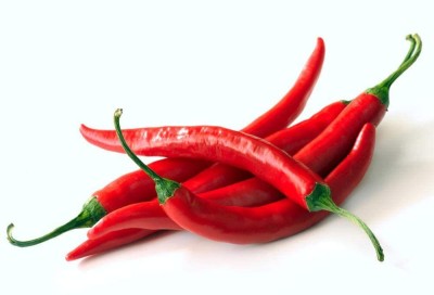 MKR Enterprises Chilli Seed(650 per packet)