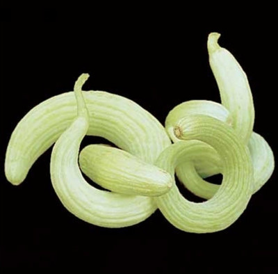 GOROOT Serpent Armenian Cucumber-SD-100-V5 Seed(100 per packet)