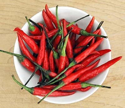 VibeX LX-64 - Thai Red Super Hot Chilli - (1350 Seeds) Seed(1350 per packet)