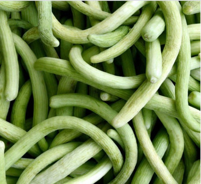 GOROOT Cucumber Armenian, Yardlong Cucumber, Snake Melon-SD-80-Z2 Seed(80 per packet)