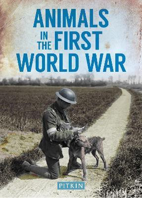 Animals in the First World War(English, Paperback, Street Peter)