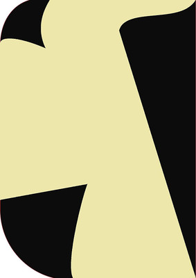 Stookin 8X 12ft ,2 In 1 Colors Single Photography Backdrop (Black & Beige 2 In 1 ) Reflector