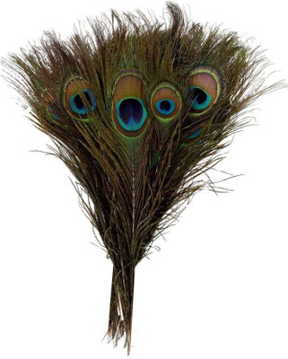 Upfog Pack of 10 Decorative Feathers(40-42cm Peacock Feather)