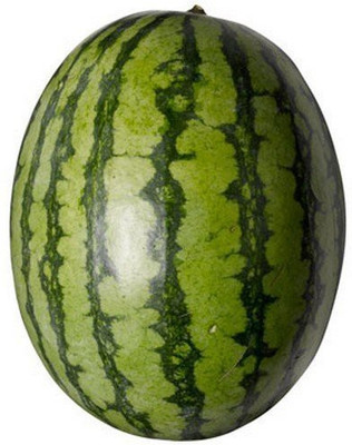 KALAGIA WATERMELON SEED Seed(100 per packet)