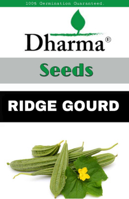 Dharma Ridge Gourd, Toree, Jhinge Seed(20 per packet)