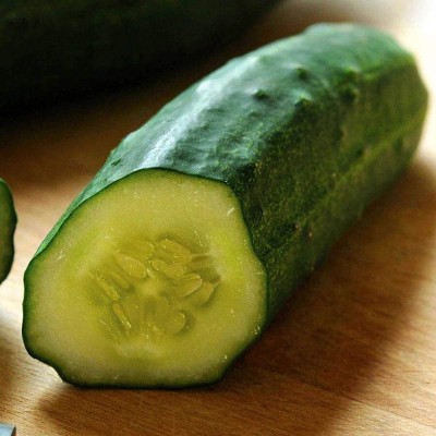 WHYGI Cucumber Patio Snacker Seeds, Porch Garden Ready-CuC_1331 Seed(300 per packet)