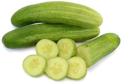 WHYGI Carolina Cucumber Seeds,Heirloom Seeds-CuC_364 Seed(80 per packet)