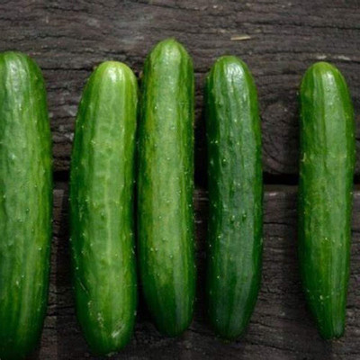 WHYGI Cucumber Seeds - Non-GMO - Fantastic raw in Salads -CuC_775 Seed(150 per packet)