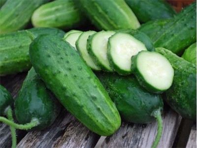 WHYGI Boston Cucumber Seeds-CuC_186 Seed(50 per packet)