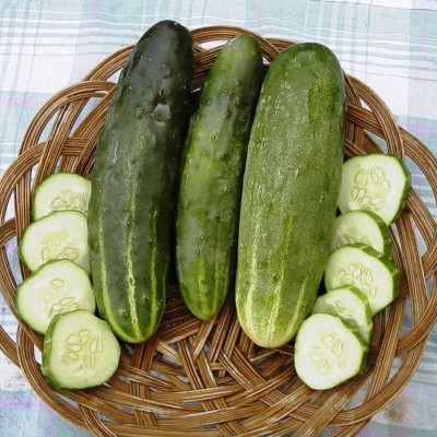 WHYGI Cucumber Paraiso F1 Organic Seed-CuC_632 Seed(100 per packet)