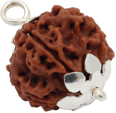 Astrodidi Five Face Rudraksha/ 5 Mukhi Rudraksha / 5 Face Rudraksha Silver Pendant With Lab Certificate Silver Wood Pendant