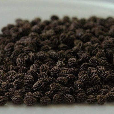 MKR Enterprises Papita Seed(500 per packet)