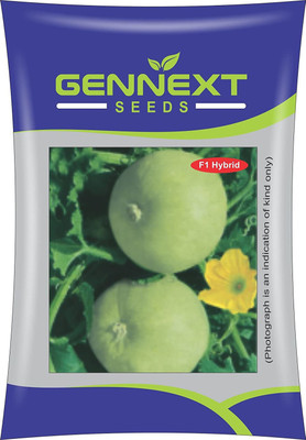 MKR Enterprises Tinda Seed(80 per packet)