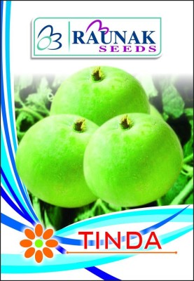 MKR Enterprises Tinda Seed(110 per packet)