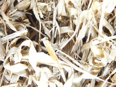 Xetomos Dried Lemon Grass 100g seeds Seed(1 per packet)
