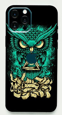 LAMHA Apple iPhone 12 Pro Max Mobile Skin(Ultra Super Angry Owl With High Mattte Finish.)