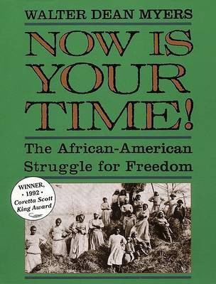 Now Is Your Time!(English, Paperback, Myers Walter Dean)