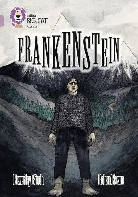 Frankenstein(English, Paperback, Birch Beverley)