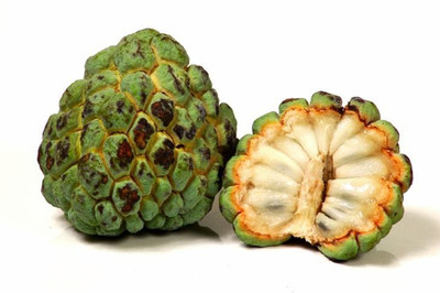 Paudha Custard Apple Seed(37 per packet)
