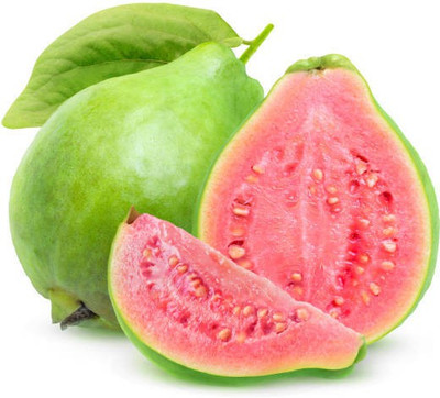 XOLDA Guava Hybrid Fruit Seed(15 per packet)