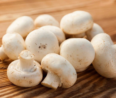 XOLDA Mushroom Herb Seed(55 per packet)