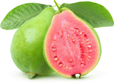 XOLDA Guava Hybrid Fruit Seed(37 per packet)