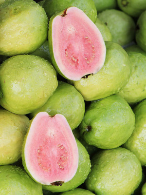 Paudha Guava Hybrid Fruit Seed(15 per packet)