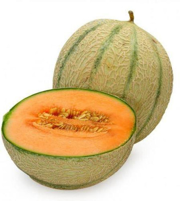 Paudha Muskmelon Hybrid Seed(17 per packet)
