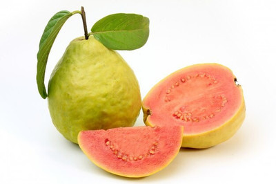 XOLDA Guava Hybrid Fruit Seed(15 per packet)