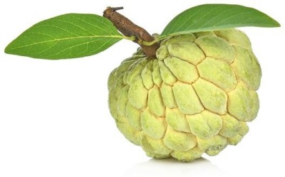 Paudha Custard Apple Hybrid Fruit Seed(35 per packet)