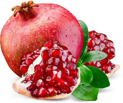 Paudha Pomegranate Hybrid Fruit Seed(17 per packet)