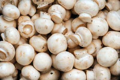 XOLDA Mushroom Herb Seed(26 per packet)