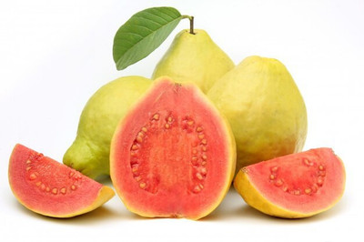 XOLDA Guava Hybrid Fruit Seed(15 per packet)