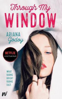 Through My Window(English, Paperback, Godoy Ariana)