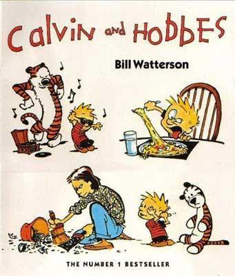 Calvin And Hobbes(English, Paperback, Watterson Bill)