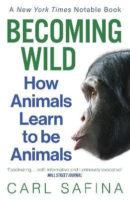 Becoming Wild(English, Paperback, Safina Carl)